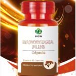 Ganoderma-Plus.jpg
