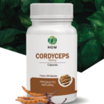 HGW-CORDICEPS.png